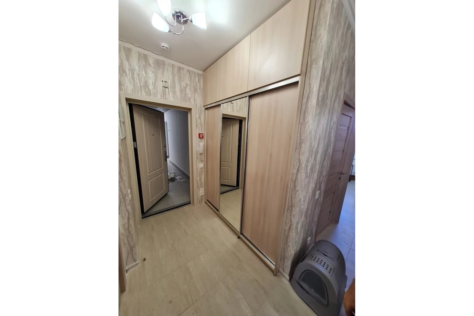 Прихожая (шкаф купе + антресоль)