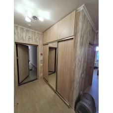 Прихожая (шкаф купе + антресоль)