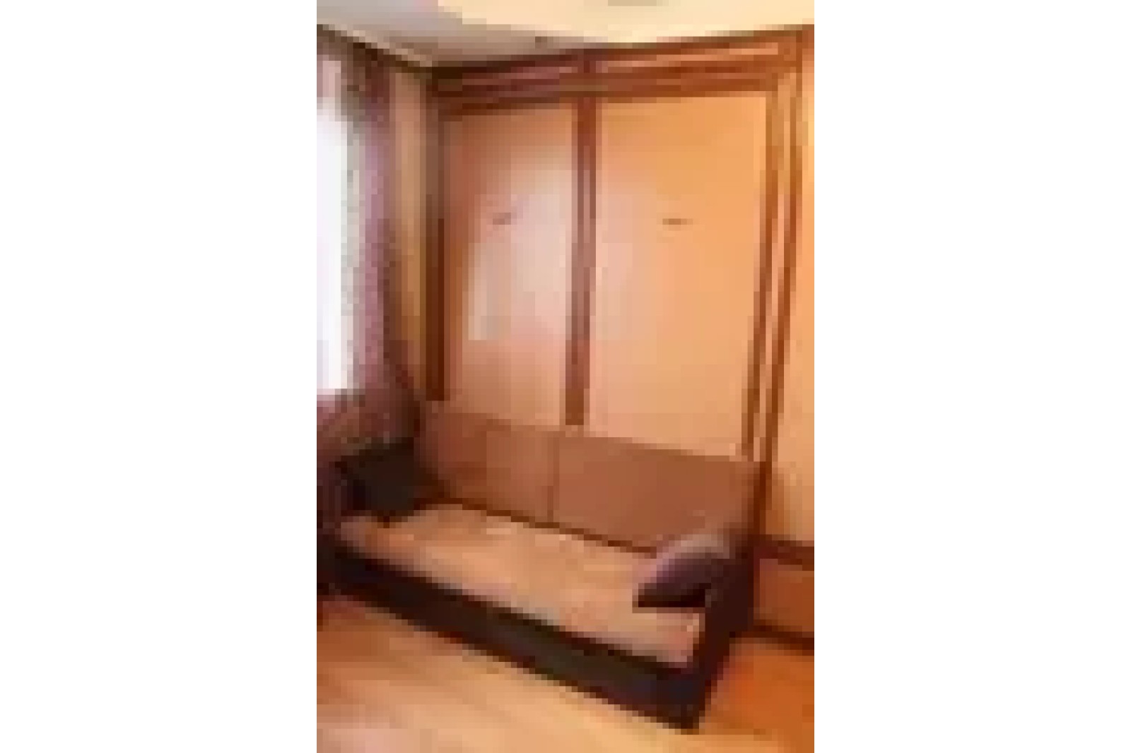 Кровать откидная с диваном