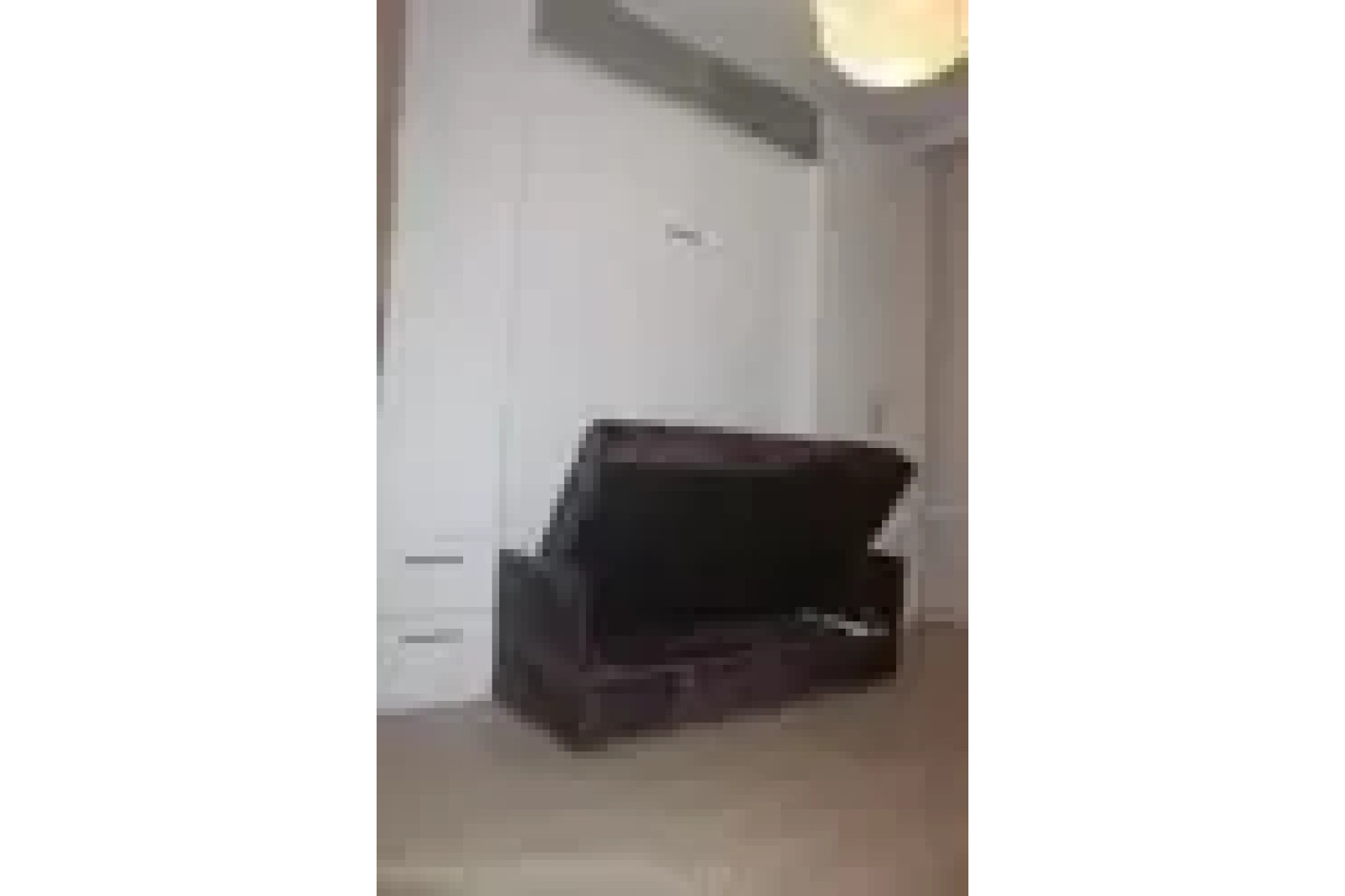 Кровать откидная с диваном