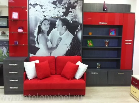 Откидная кровать с диваном в Atelemebel